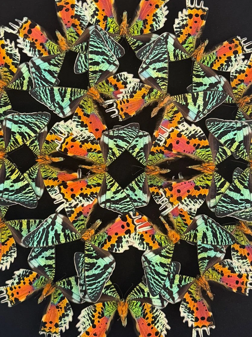 Green Flash Mandala — Hasharat
